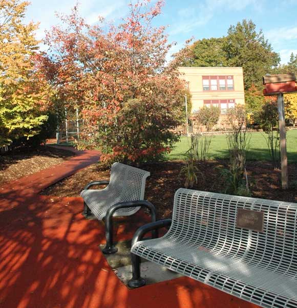 Bench at The Community School